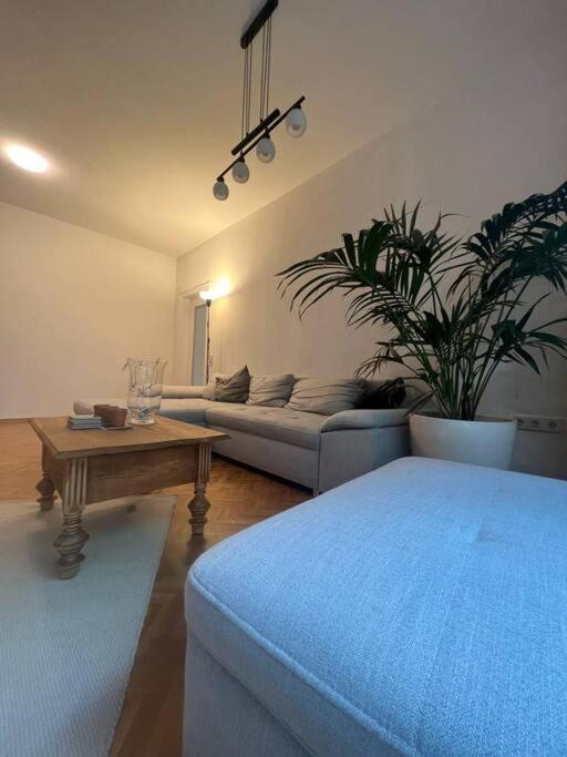Ganzes Haus In Der Altstadt, Ideal Fuer 2 Personen, 4 Gaeste Moeglich Quakenbrück Exteriör bild